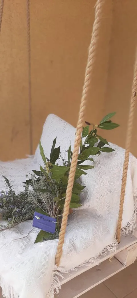 Les vacances en PRovence côté oliviers